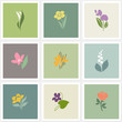 Flower. Vector logo templates set. Elements for design.