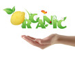Hand holding word "Organic" ecological design