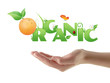 Hand holding word "Organic" ecological design