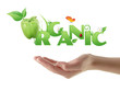 Hand holding word "Organic" ecological design