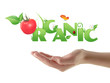 Hand holding word "Organic" ecological design