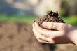 Soil in human palms