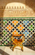 Alhambra palace, Granada
