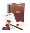 verdict, gavel and law book illustration design
