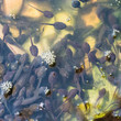 Below The Surface
