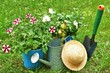 Arbeit im Garten / Sommer