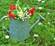 Kanne im Garten