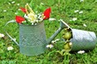 Bepflanzung / Gießkanne