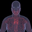 X-Ray picture of a person. Sore digestion