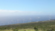 Wind Turbines By Ocean