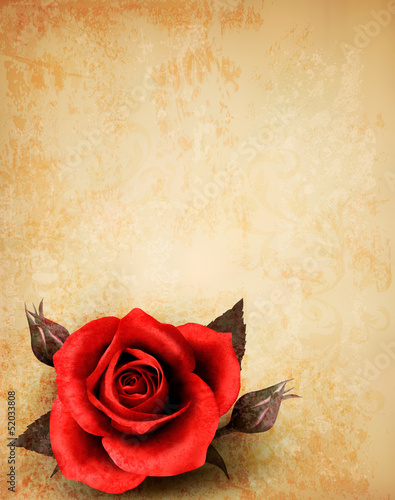 Vector: Big red rose on old paper background. Vector. Big red rose on old paper background. Vector.