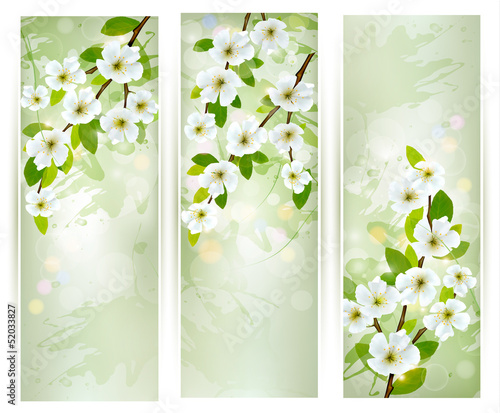 Vector: Three banners with blossoming tree branches. Vector illustration Three banners with blossoming tree branches. Vector illustration