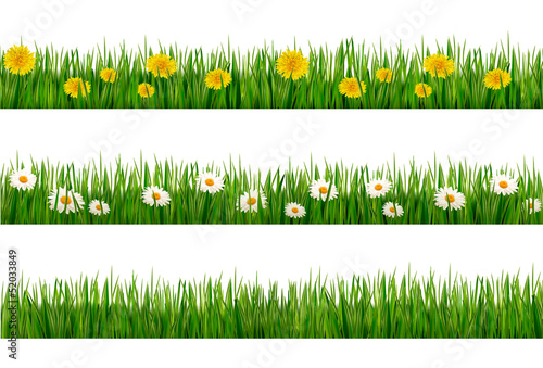 Vector: Three nature backgrounds of green grass with dandelions and dais Three nature backgrounds of green grass with dandelions and dais