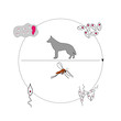 Leishmania life cycle