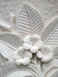 Photo: Frangipani flower Frangipani flower