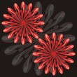 Polymorph X12