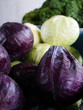 cabbage