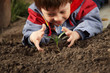 Photo: sprout in children hand sprout in children hand