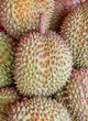 Durian