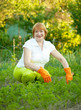  mature woman working in  vegetable garden