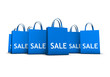 Shopping Bags Sale Concept