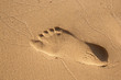 Footsteps in sandy on the beach