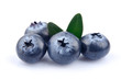 Blueberries with leaves