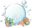 A crystal ball with seashells