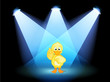 A duck with spotlights