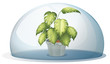 A green plant inside a round cystal