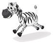 Vector: A zebra running A zebra running