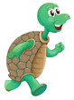 An old turtle running