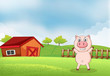 A pig in the farm with a barn