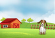 A puppy in the farm