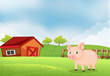 A pig in the farm with barn