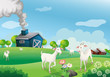 A farm with many goats