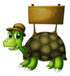 A turtle with a wooden signboard at the back