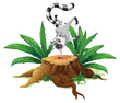 A playful lemur above a stump