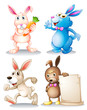Four rabbits