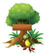 A turtle under the big tree with a wooden signboard