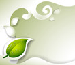 Vector: A gray stationery with a leaf A gray stationery with a leaf