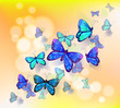 A wallpaper design with butterflies