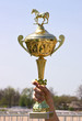 Trophy Cup.