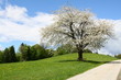 landschaft