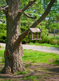 Wooden birds feeder on an old tree