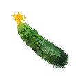 Вектор: cucumber vegetable vector illustration of blots cucumber vegetable vector illustration of blots