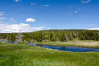 fiume Yellowstone nello Yellowstone National Park