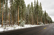 Foto: strada innevata in estate nello Yellowstone strada innevata in estate nello Yellowstone