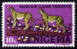 Photo: Postage stamp Nigeria 1973 African Leopards Postage stamp Nigeria 1973 African Leopards