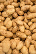 Macro view of fresh potatos